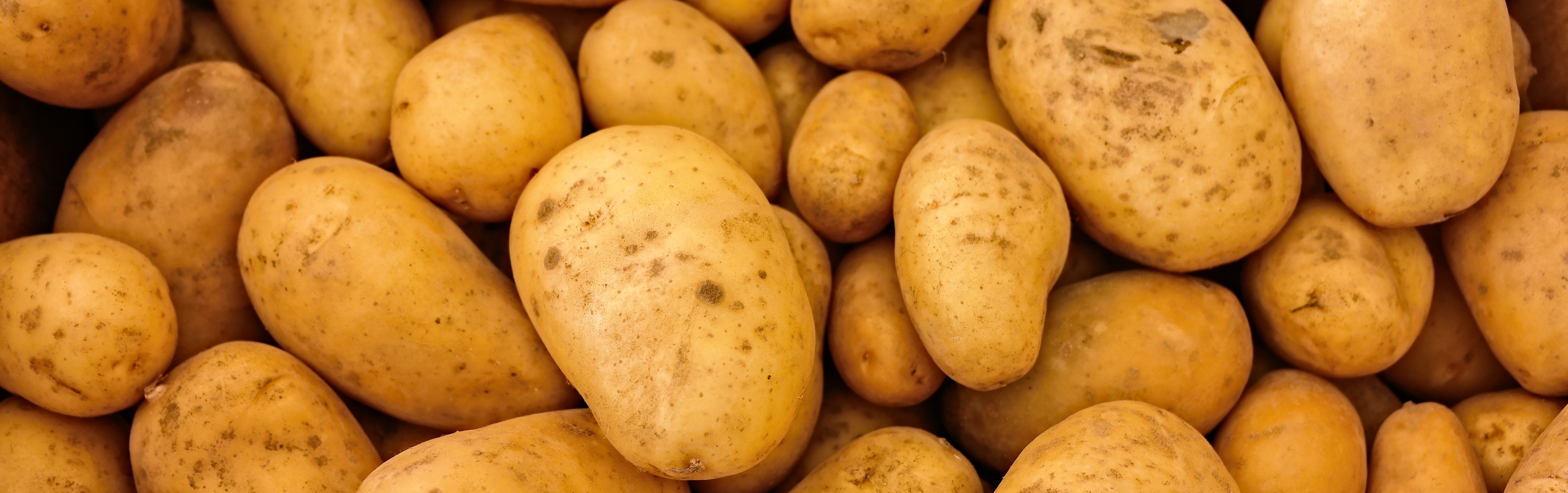Pomme De Terre Noircie Au Frigo Nos produits